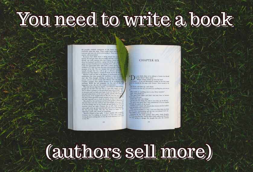 You need to write a book (authors sell more)