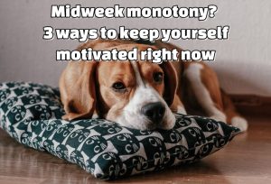 Midweek monotony? 3 ways to keep yourself motivated right now